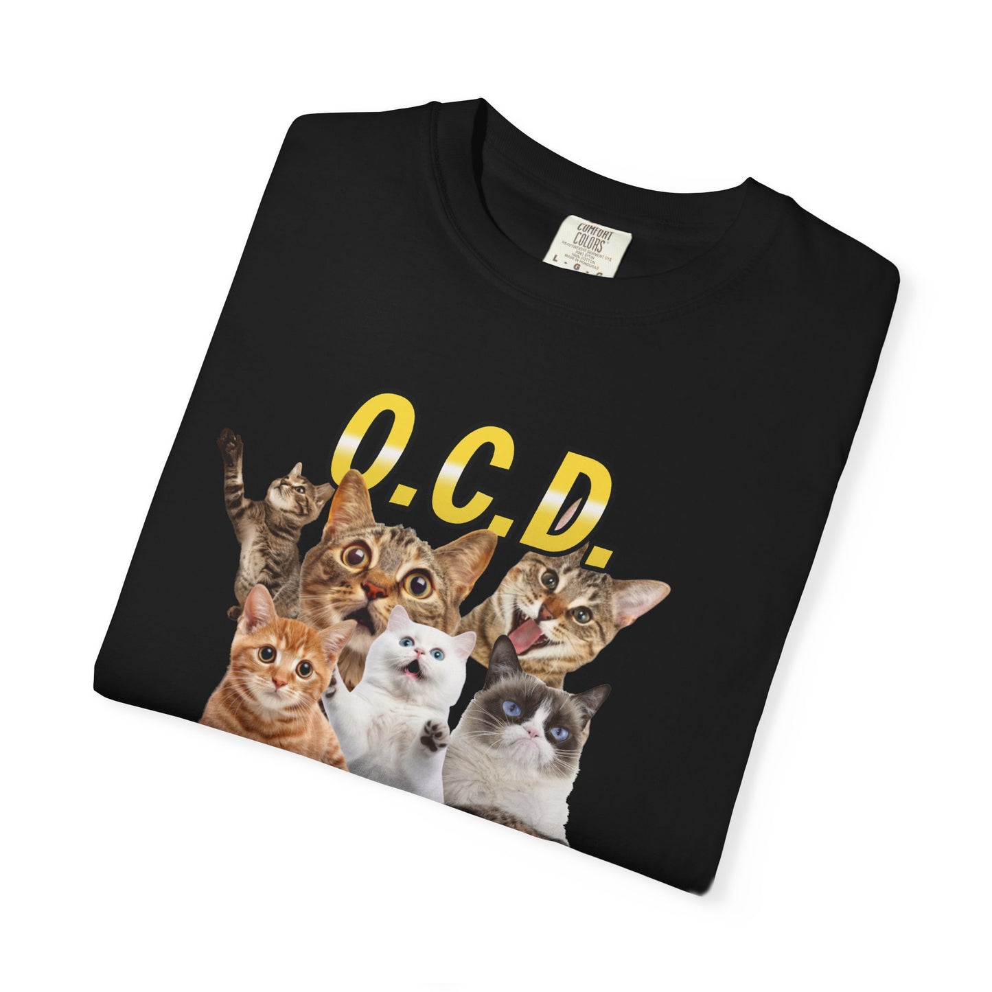 O.C.D.  Obsessive cat Disorder