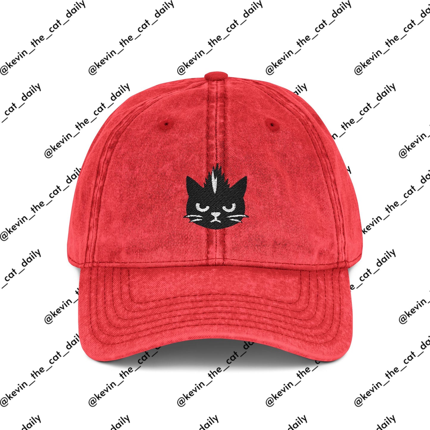 Kevin the cat HAT