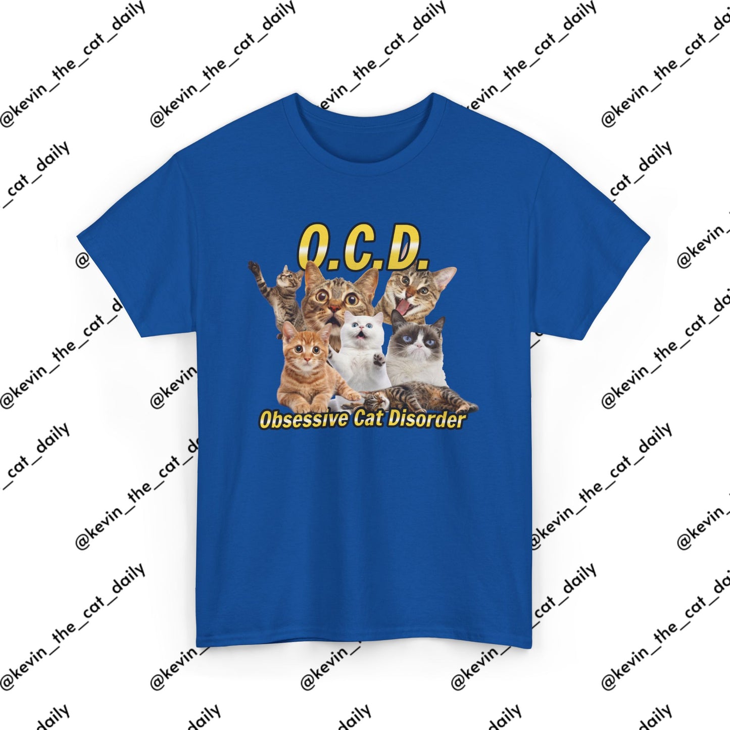 O.C.D. - Obsessive Cat Disorder