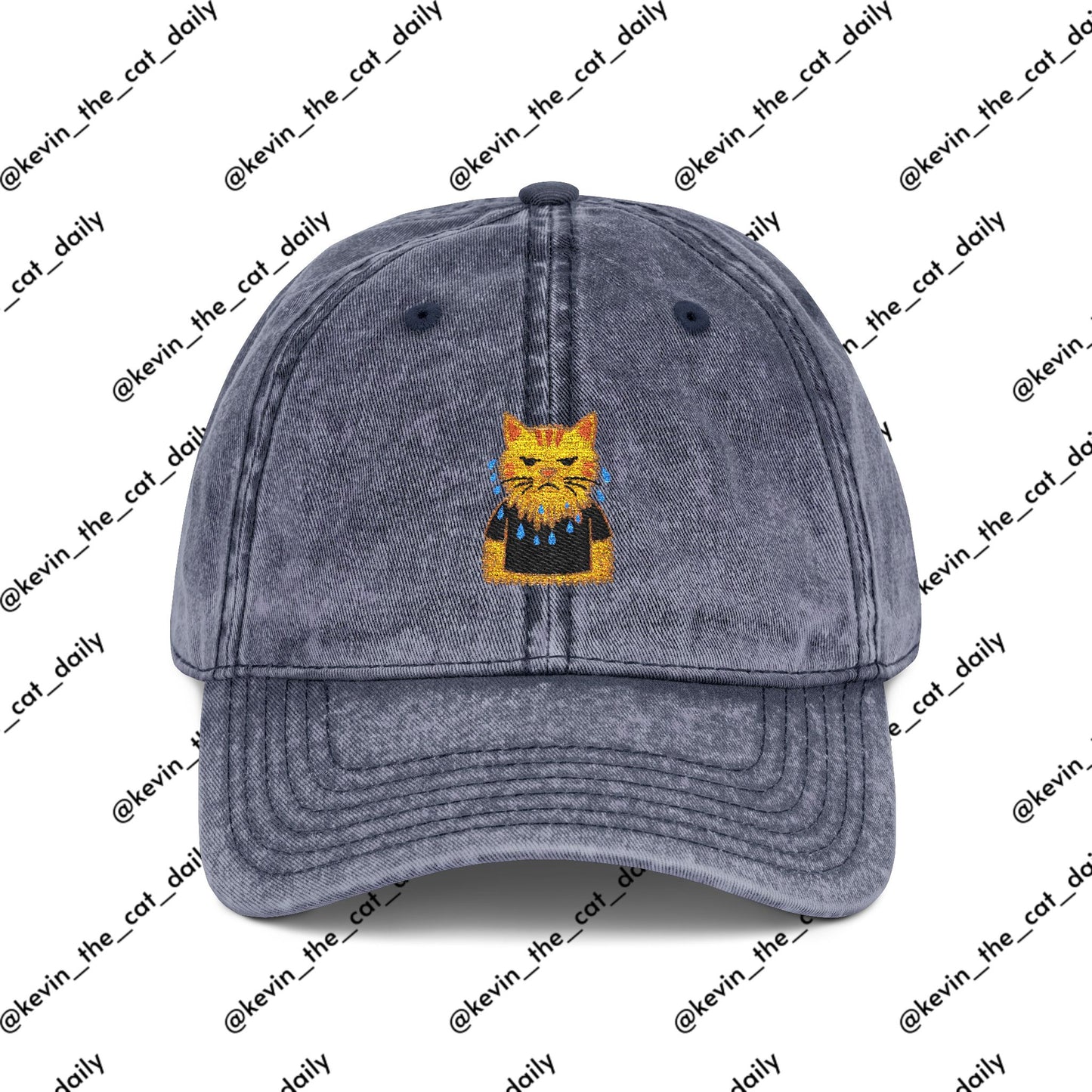 Angry Wet Cat