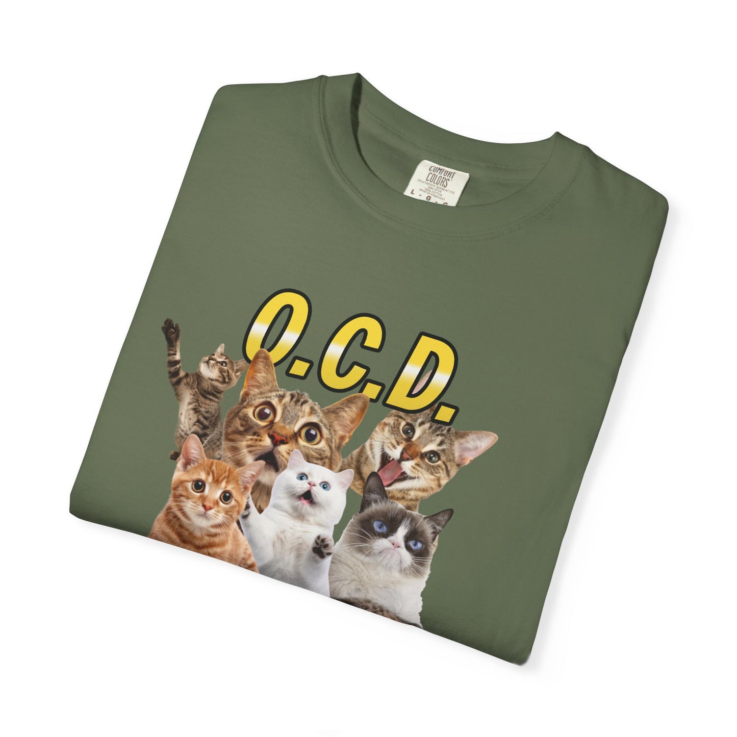 O.C.D.  Obsessive cat Disorder