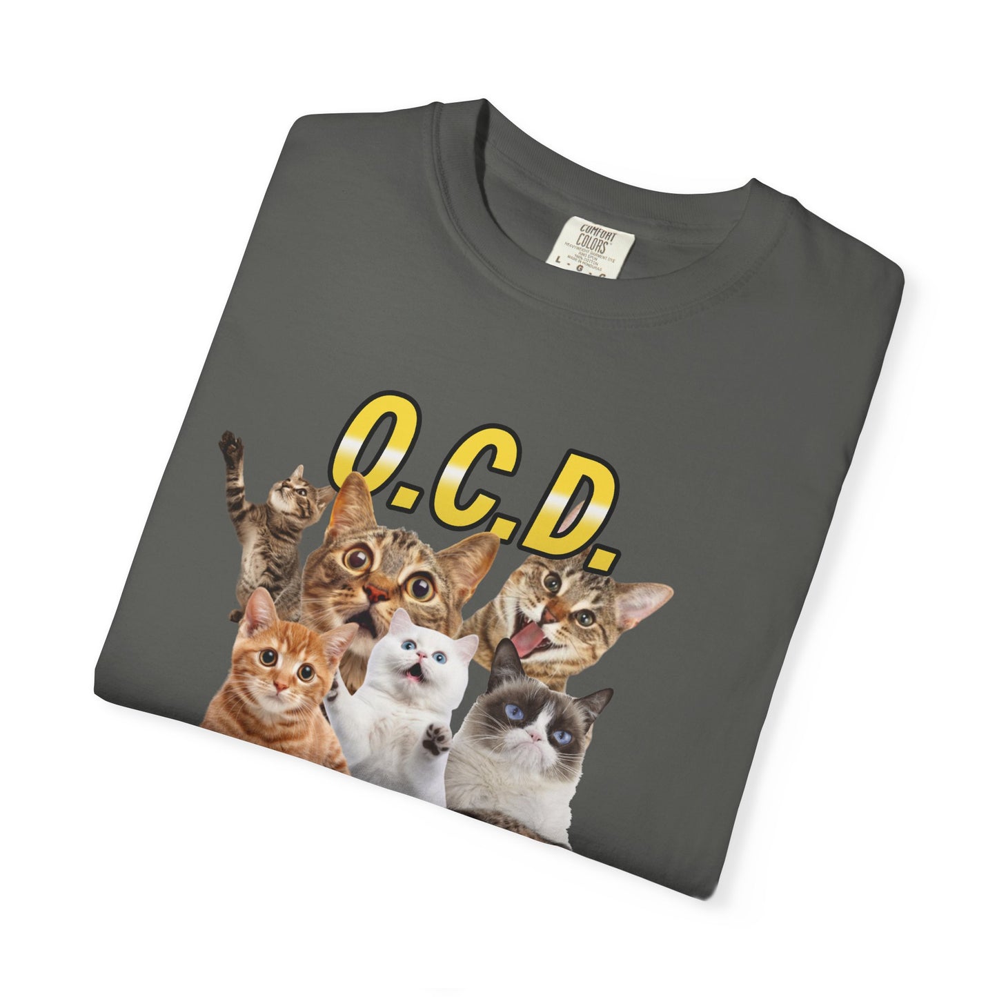 O.C.D.  Obsessive cat Disorder