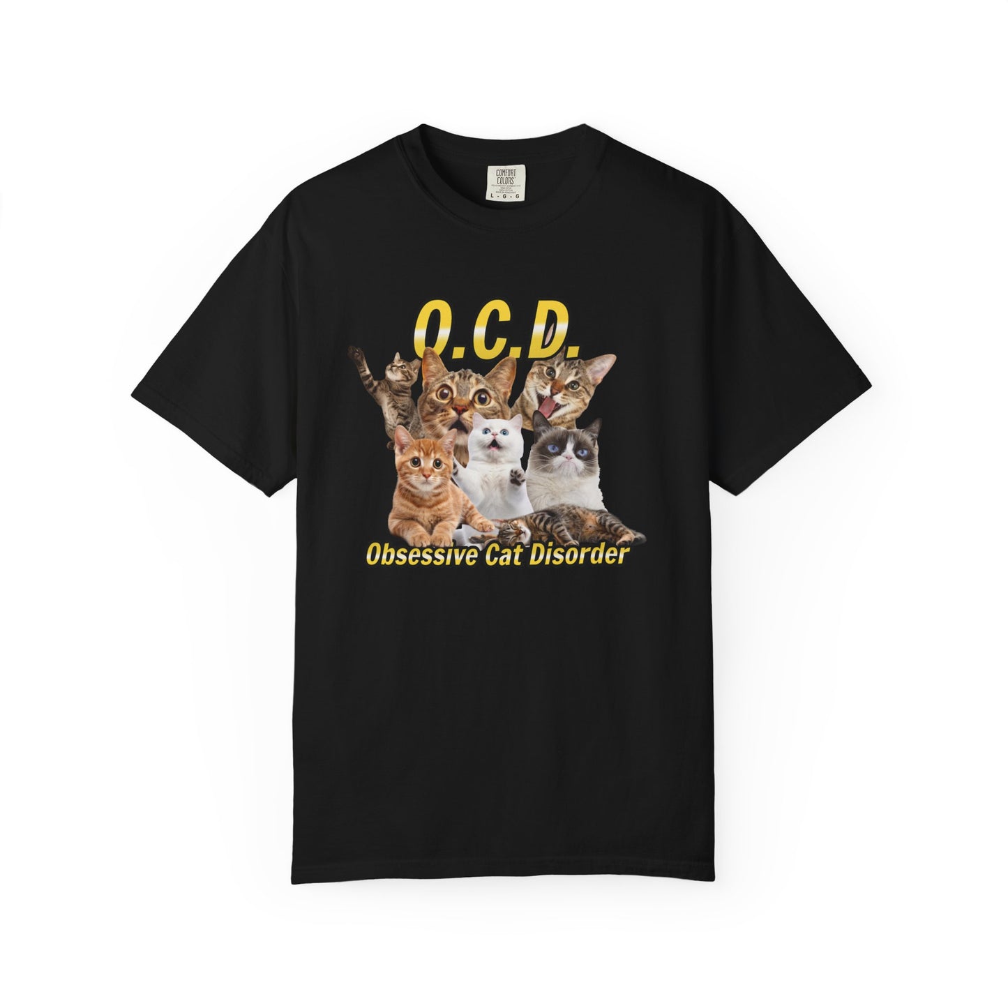 O.C.D.  Obsessive cat Disorder