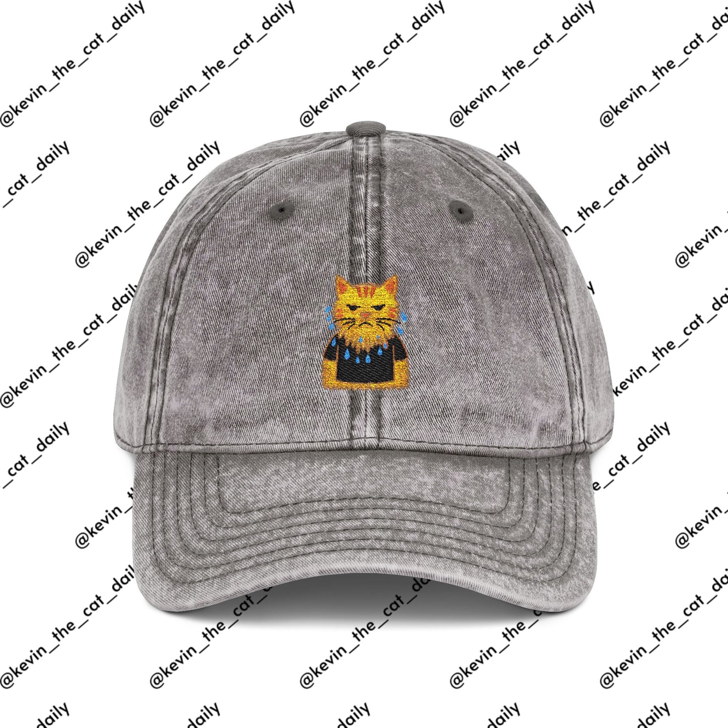 Angry Wet Cat