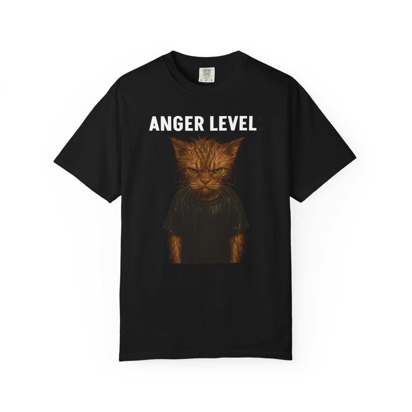Anger level: Wet cat