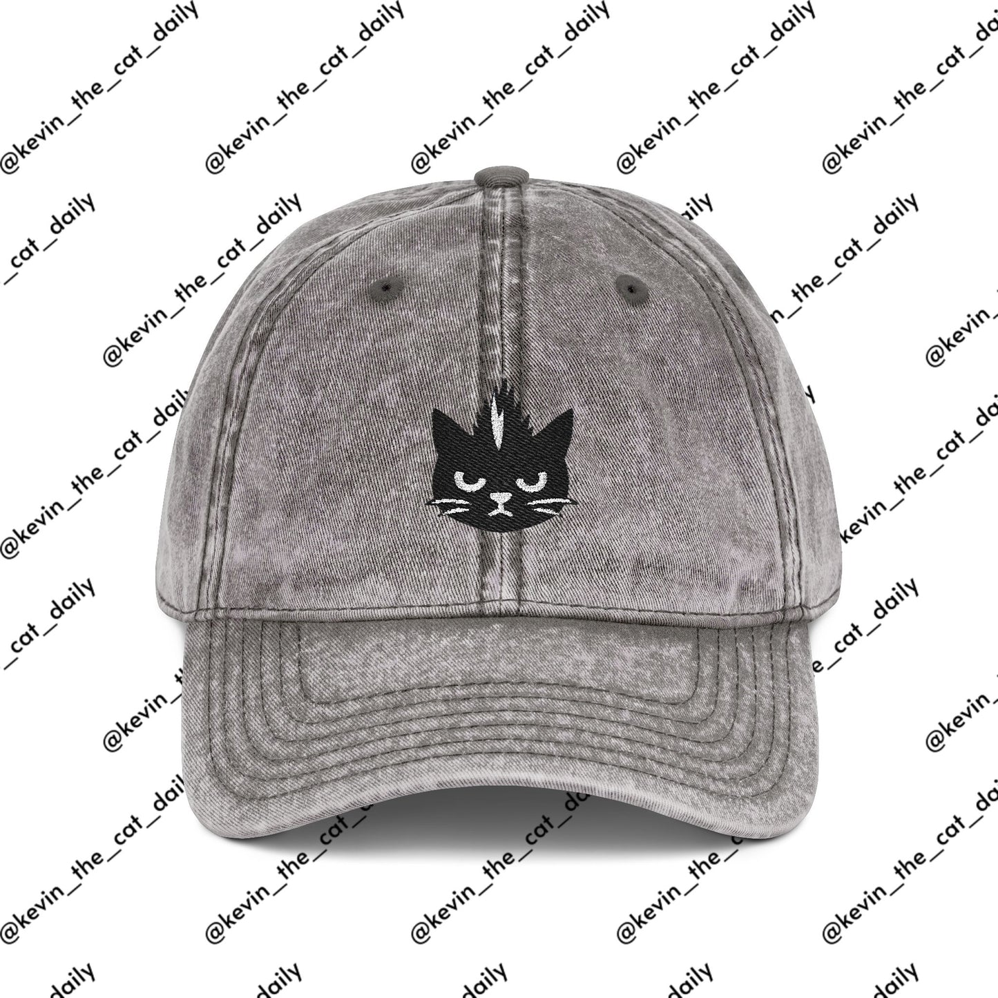 Kevin the cat HAT