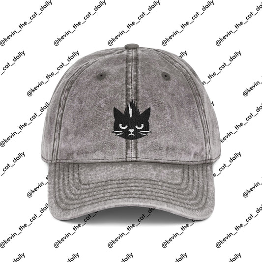 Kevin the cat HAT