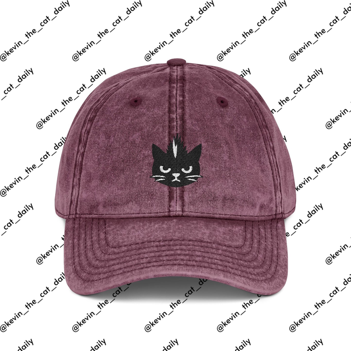 Kevin the cat HAT