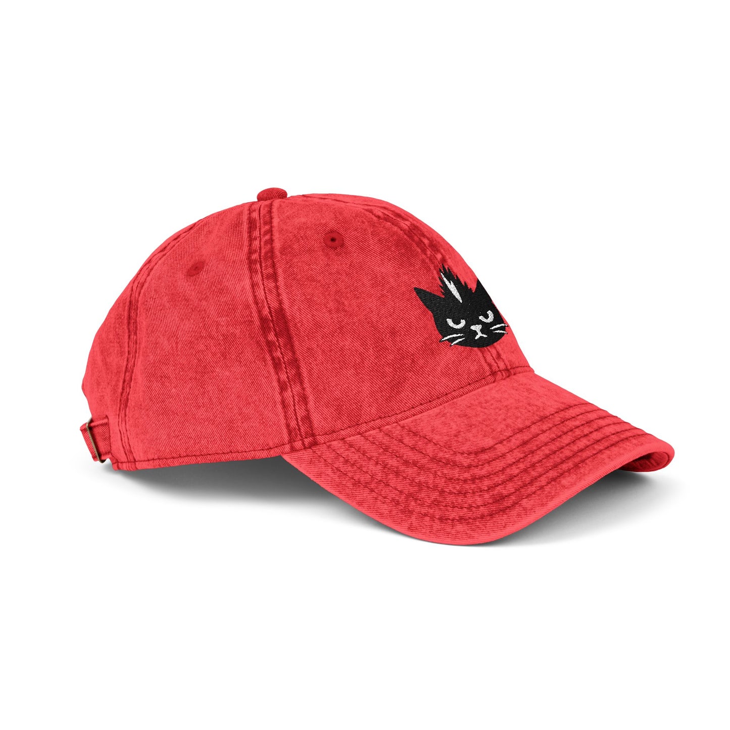 Kevin the cat HAT