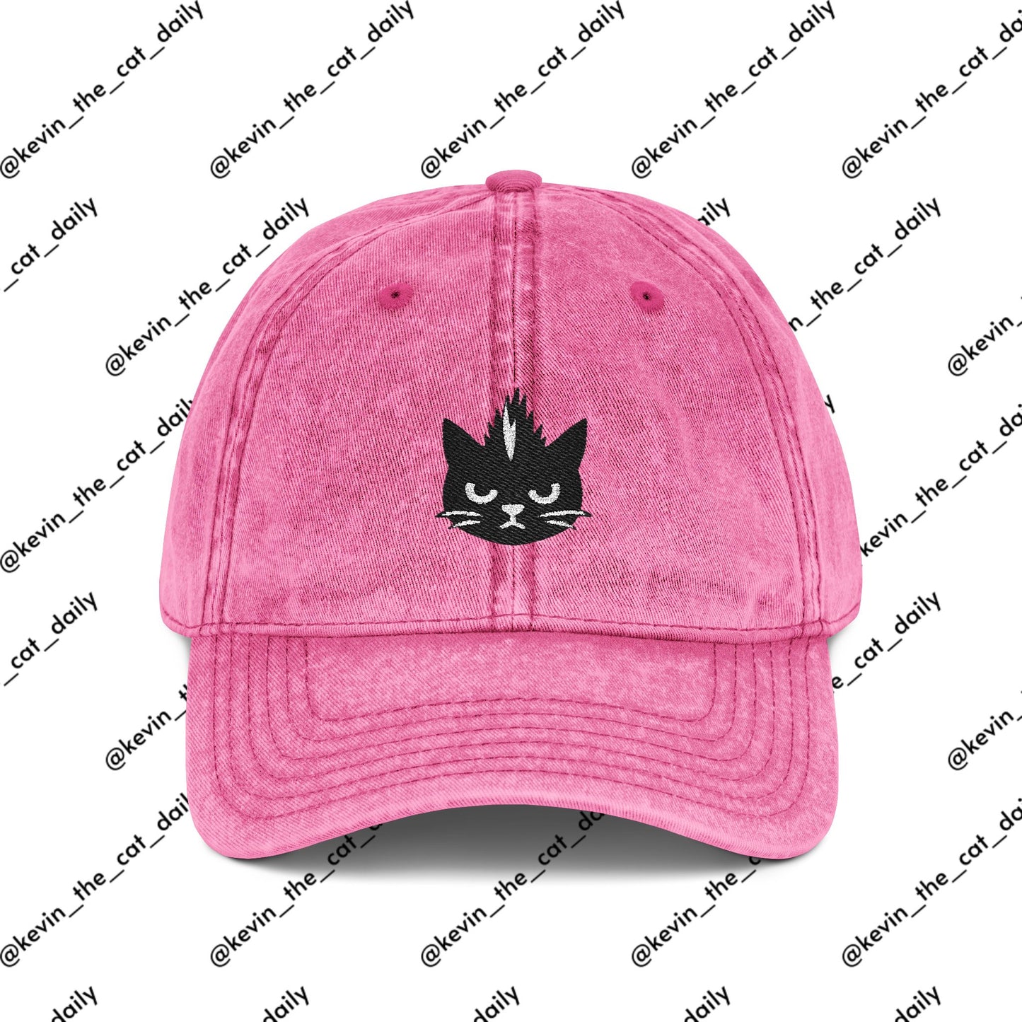 Kevin the cat HAT