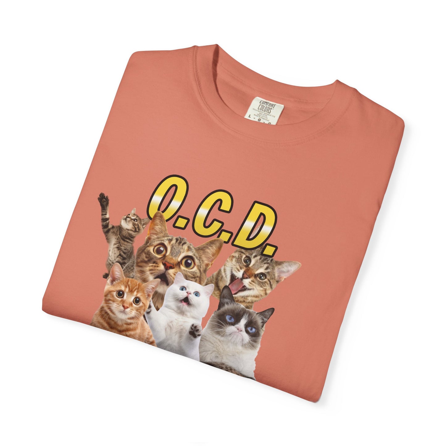 O.C.D.  Obsessive cat Disorder