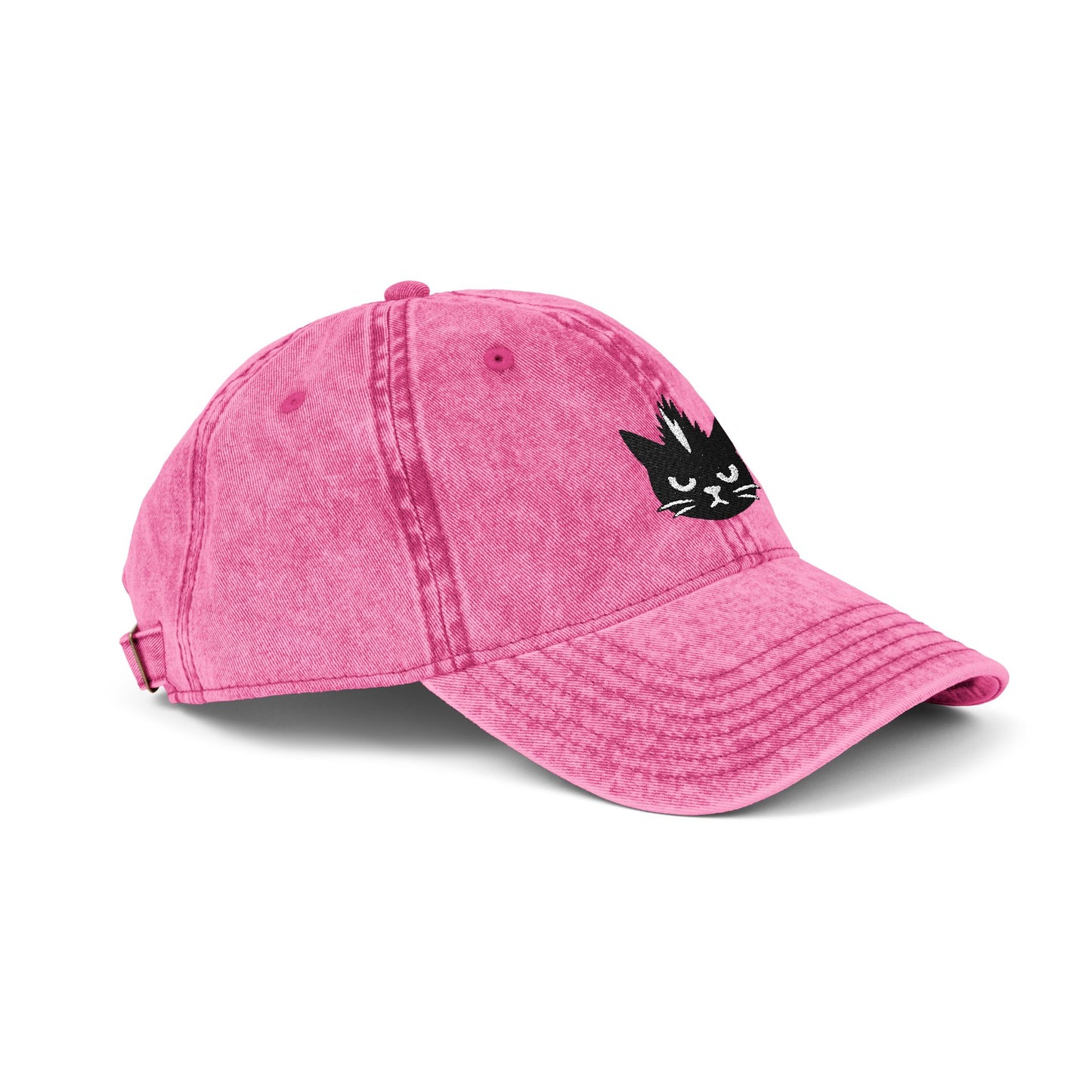 Kevin the cat HAT