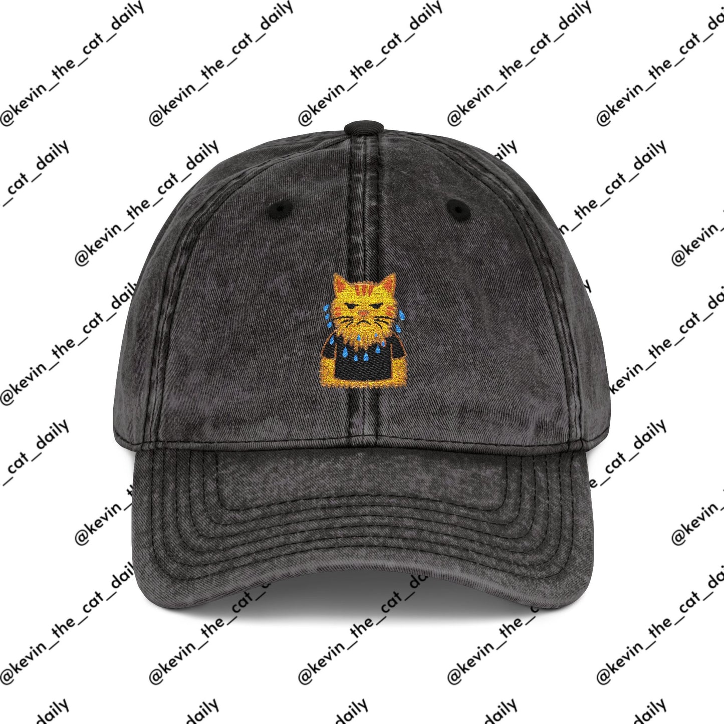 Angry Wet Cat