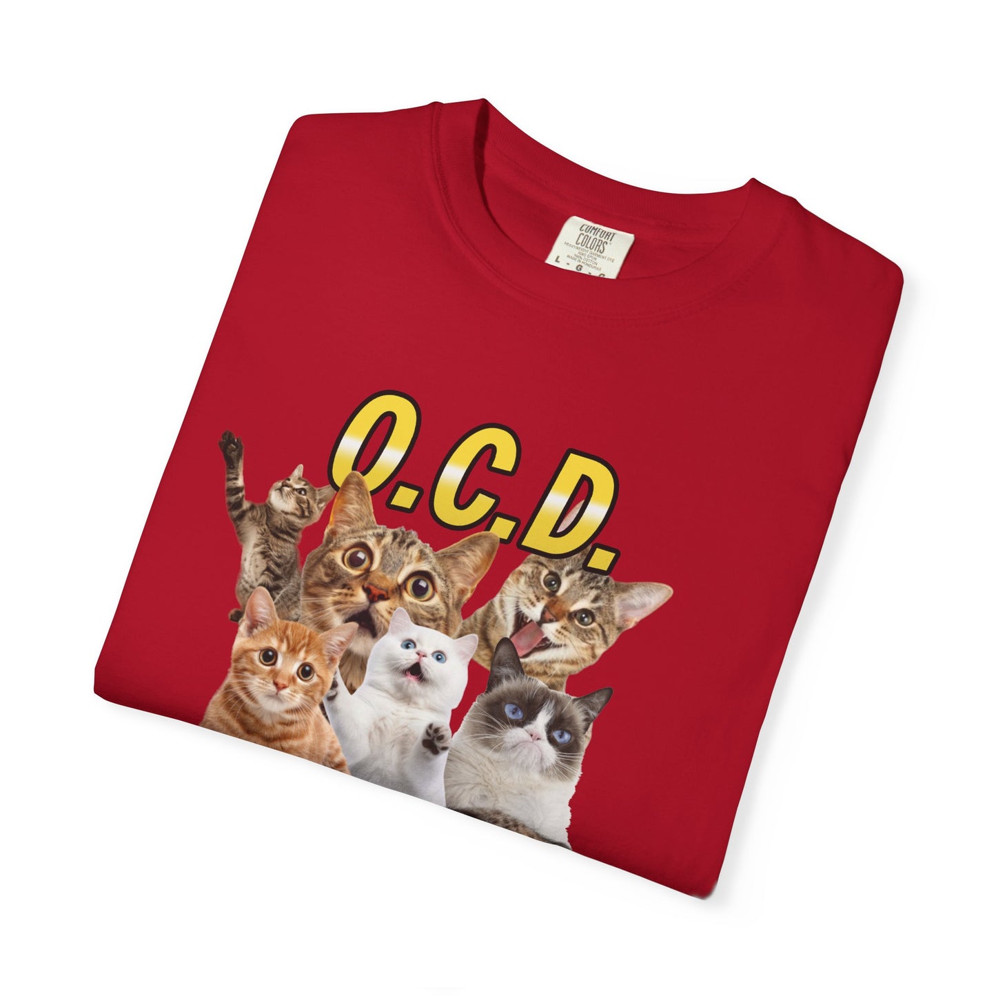 O.C.D.  Obsessive cat Disorder