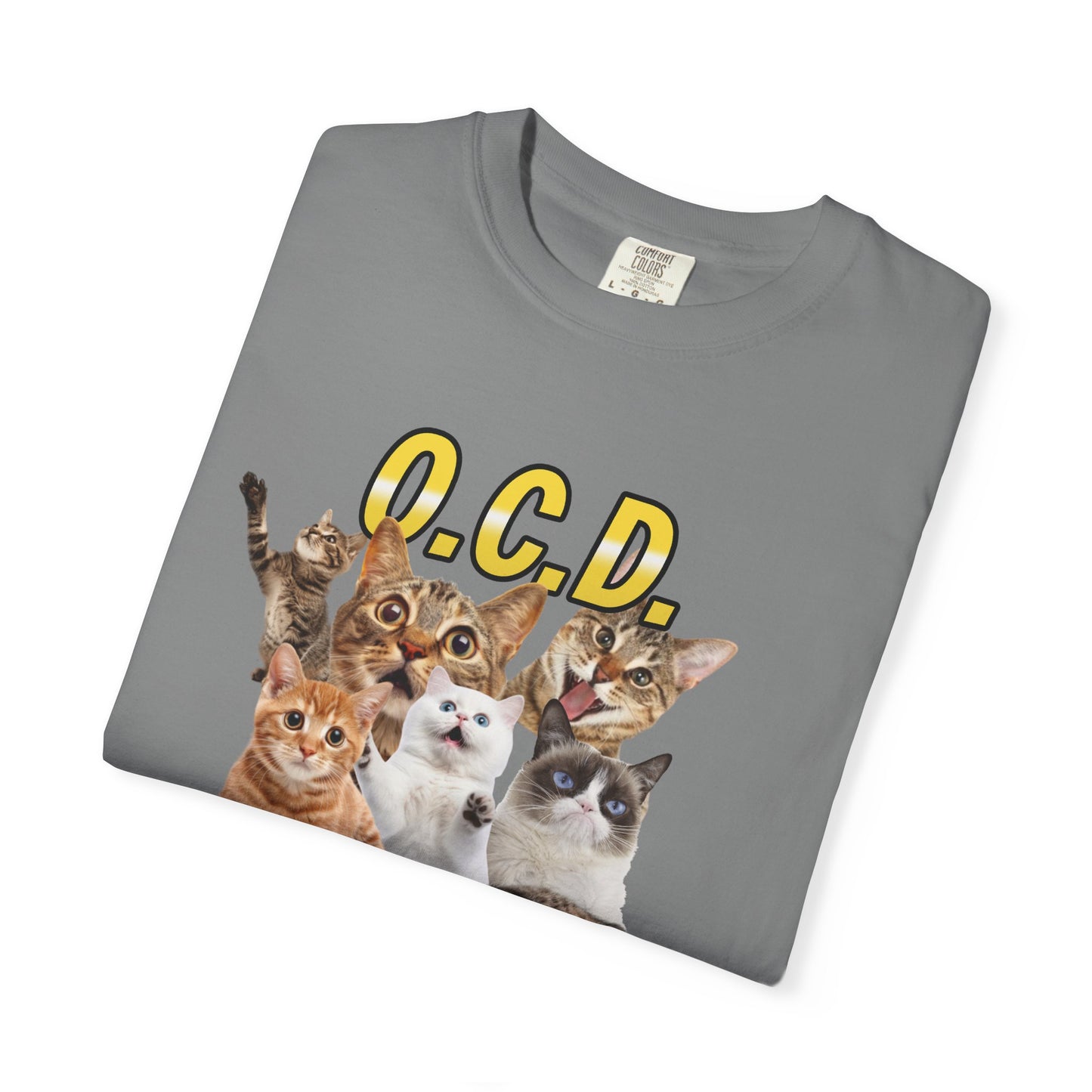 O.C.D.  Obsessive cat Disorder