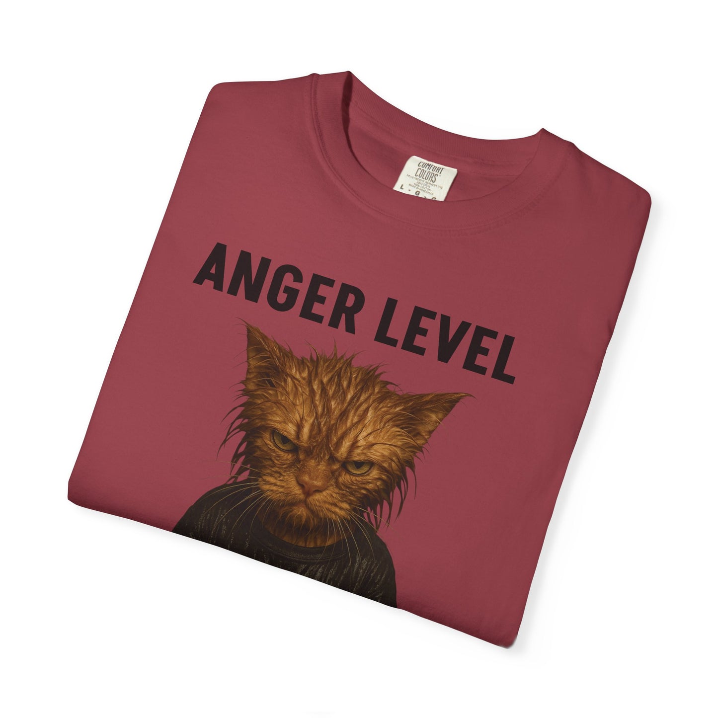 Anger level: Wet cat
