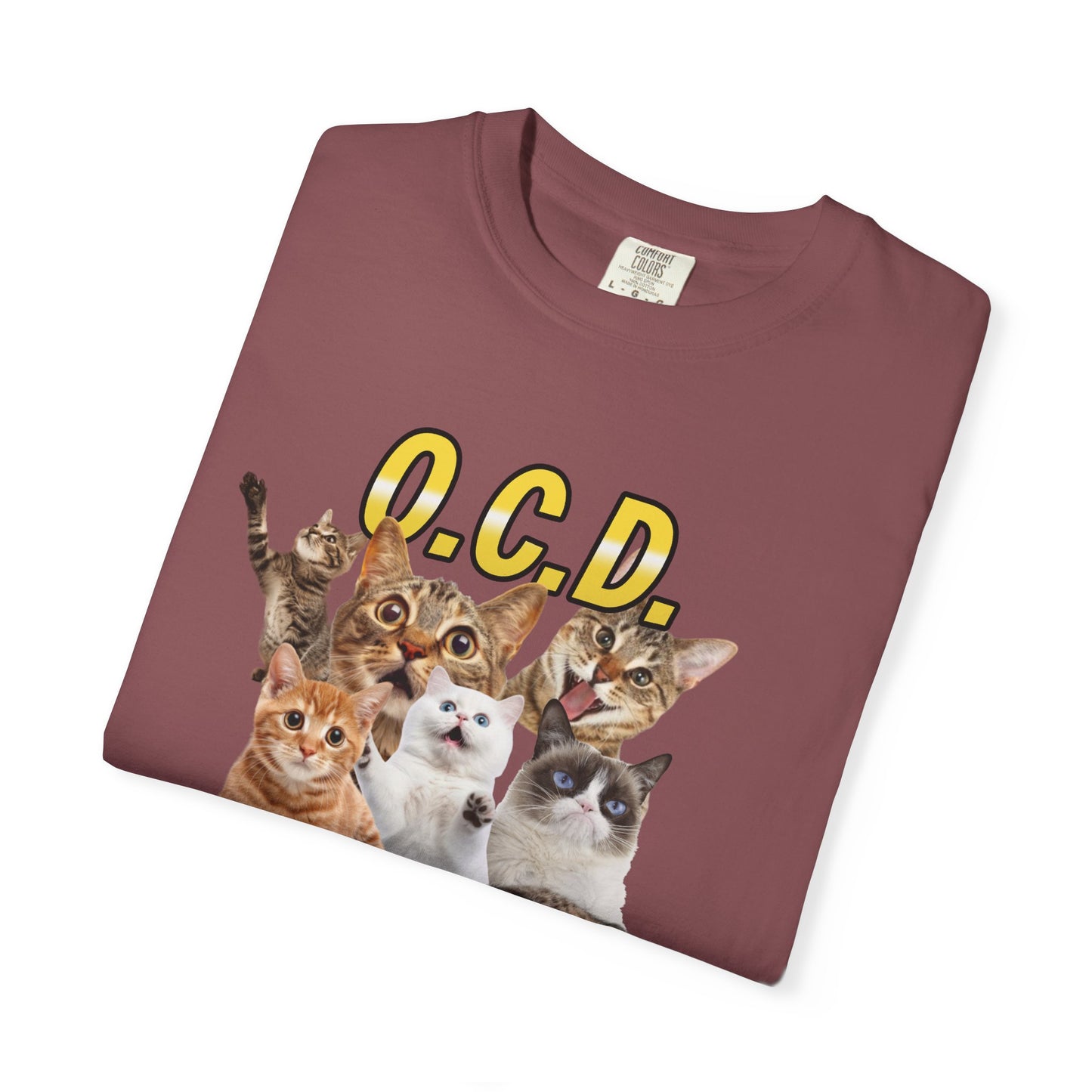 O.C.D.  Obsessive cat Disorder