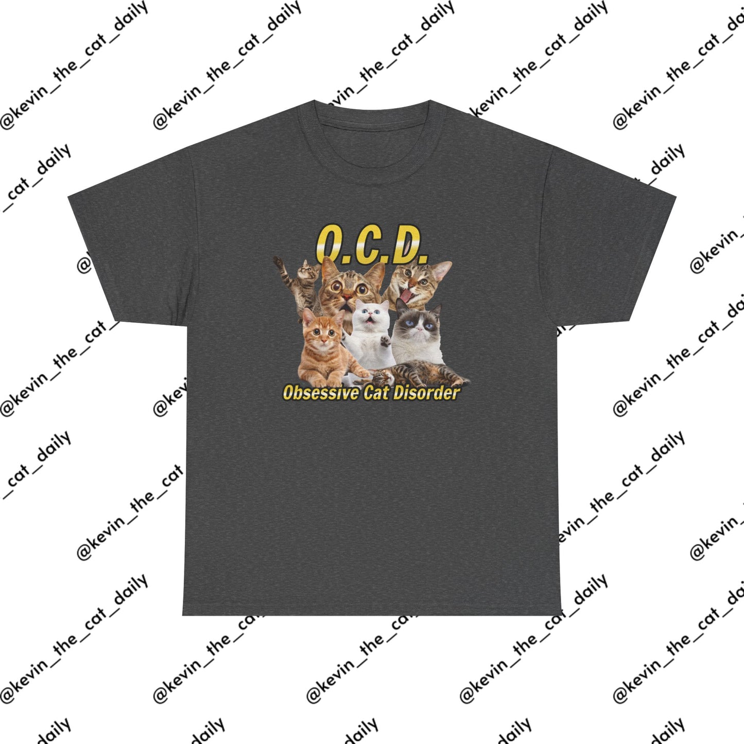 O.C.D. - Obsessive Cat Disorder