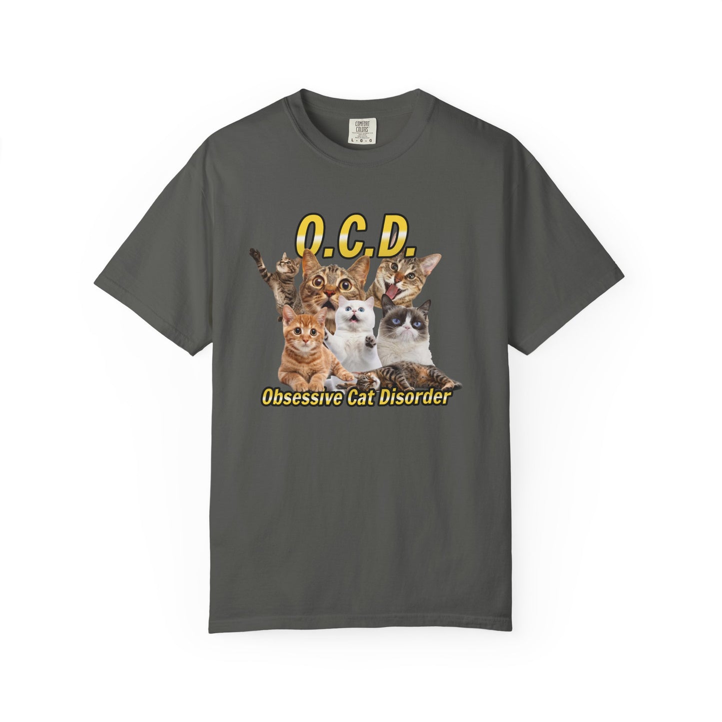 O.C.D.  Obsessive cat Disorder