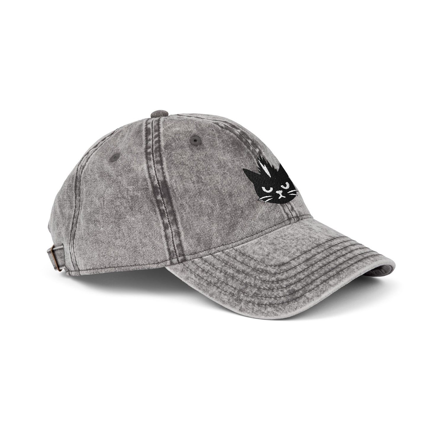 Kevin the cat HAT
