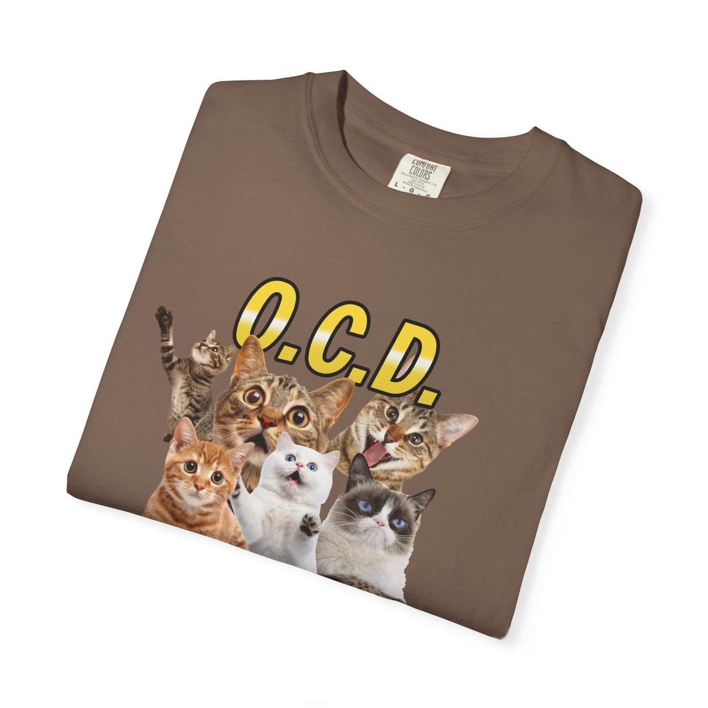 O.C.D.  Obsessive cat Disorder