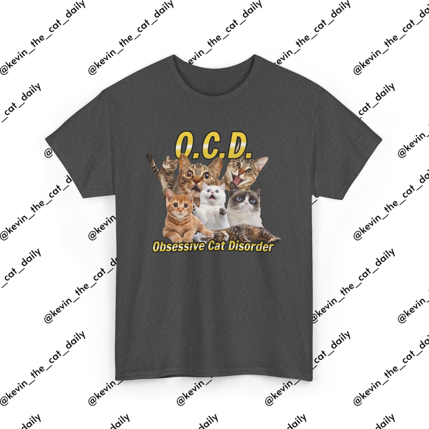 O.C.D. - Obsessive Cat Disorder