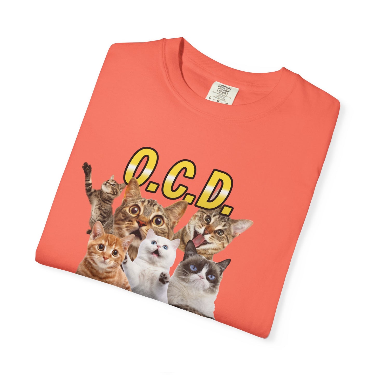 O.C.D.  Obsessive cat Disorder