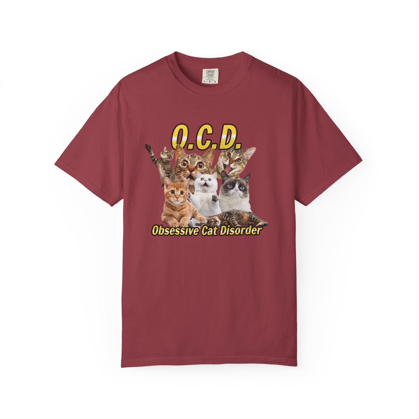 O.C.D.  Obsessive cat Disorder