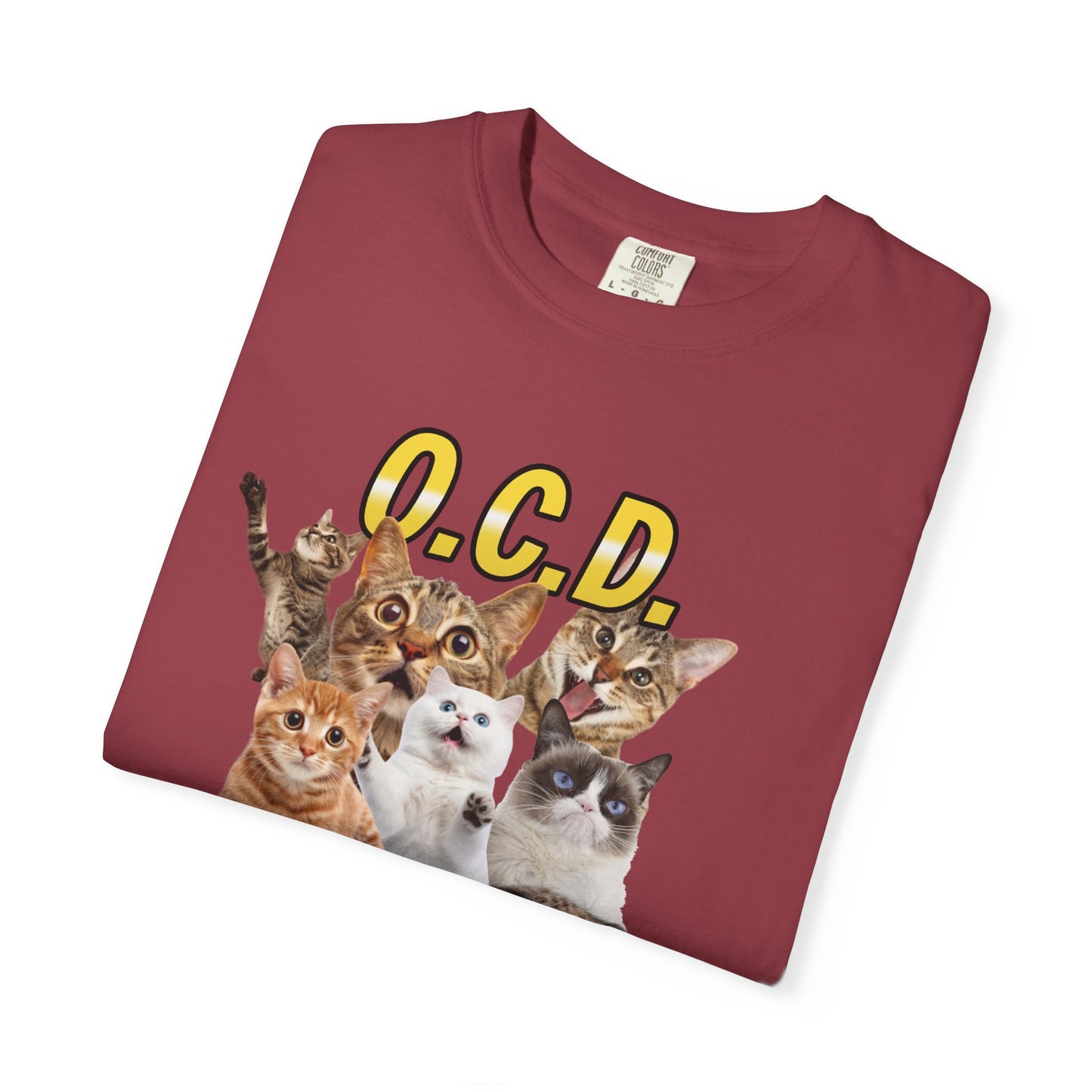 O.C.D.  Obsessive cat Disorder