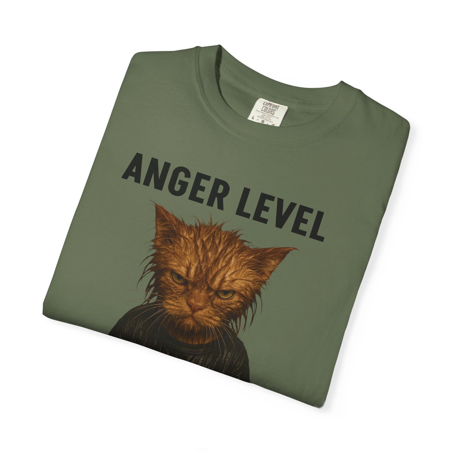 Anger level: Wet cat