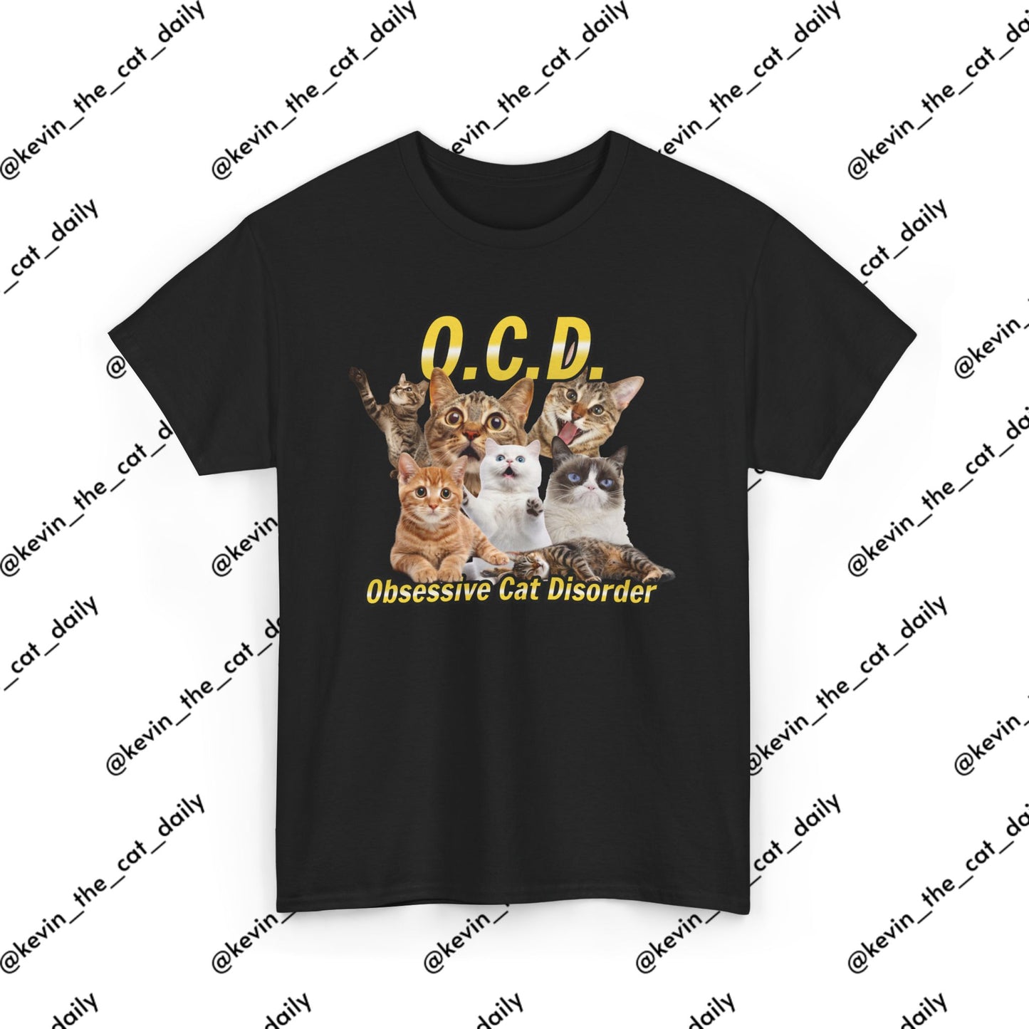O.C.D. - Obsessive Cat Disorder