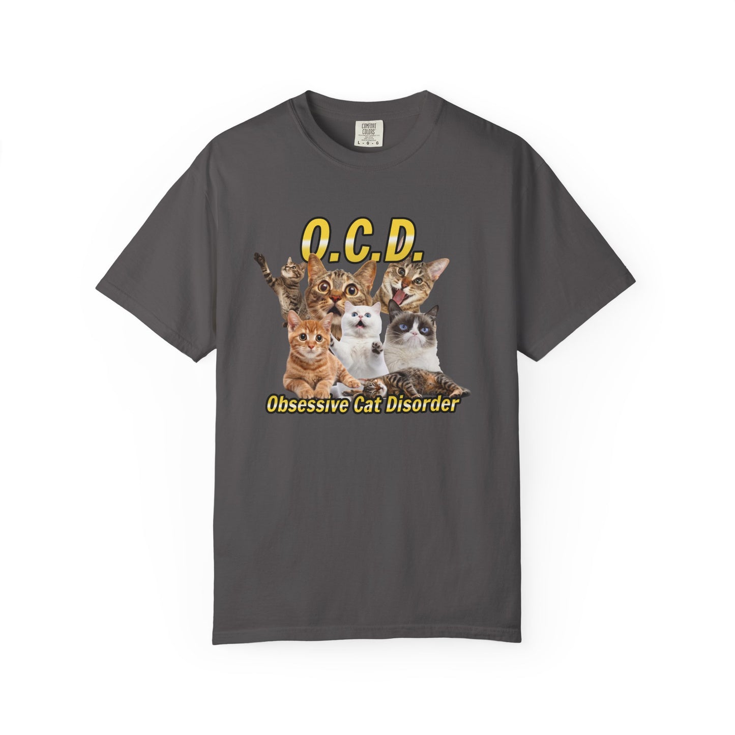 O.C.D.  Obsessive cat Disorder