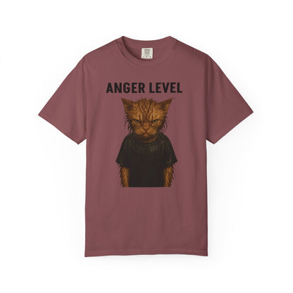 Anger level: Wet cat