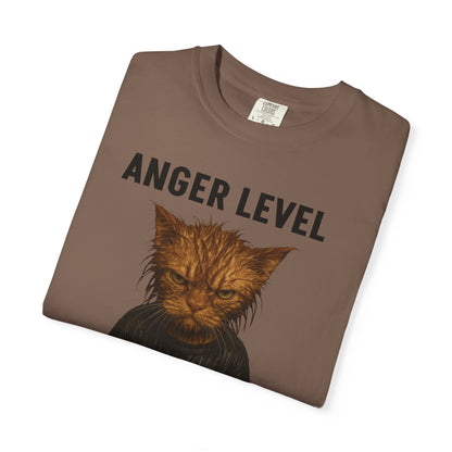 Anger level: Wet cat