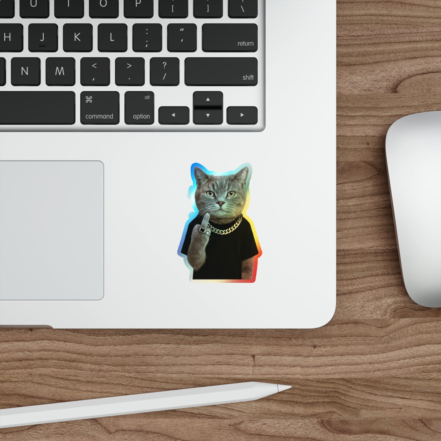 "F**K YOU" Holographic Stickers [kevin_the_cat_store]