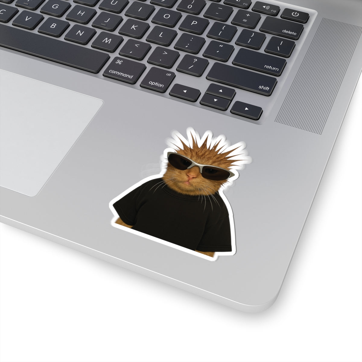 "Cool Cat" Sticker [kevin_the_cat_store]