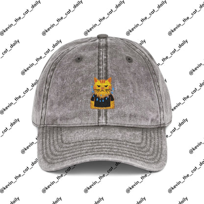 Angry Wet Cat