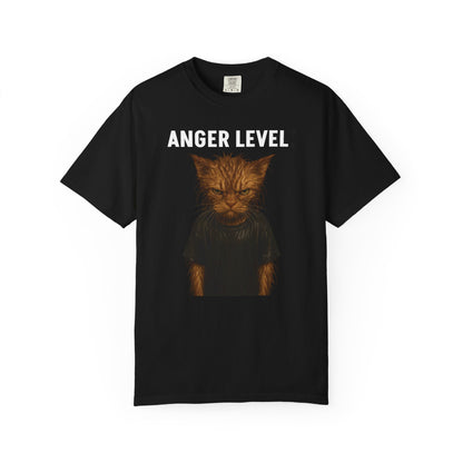 Anger level: Wet cat