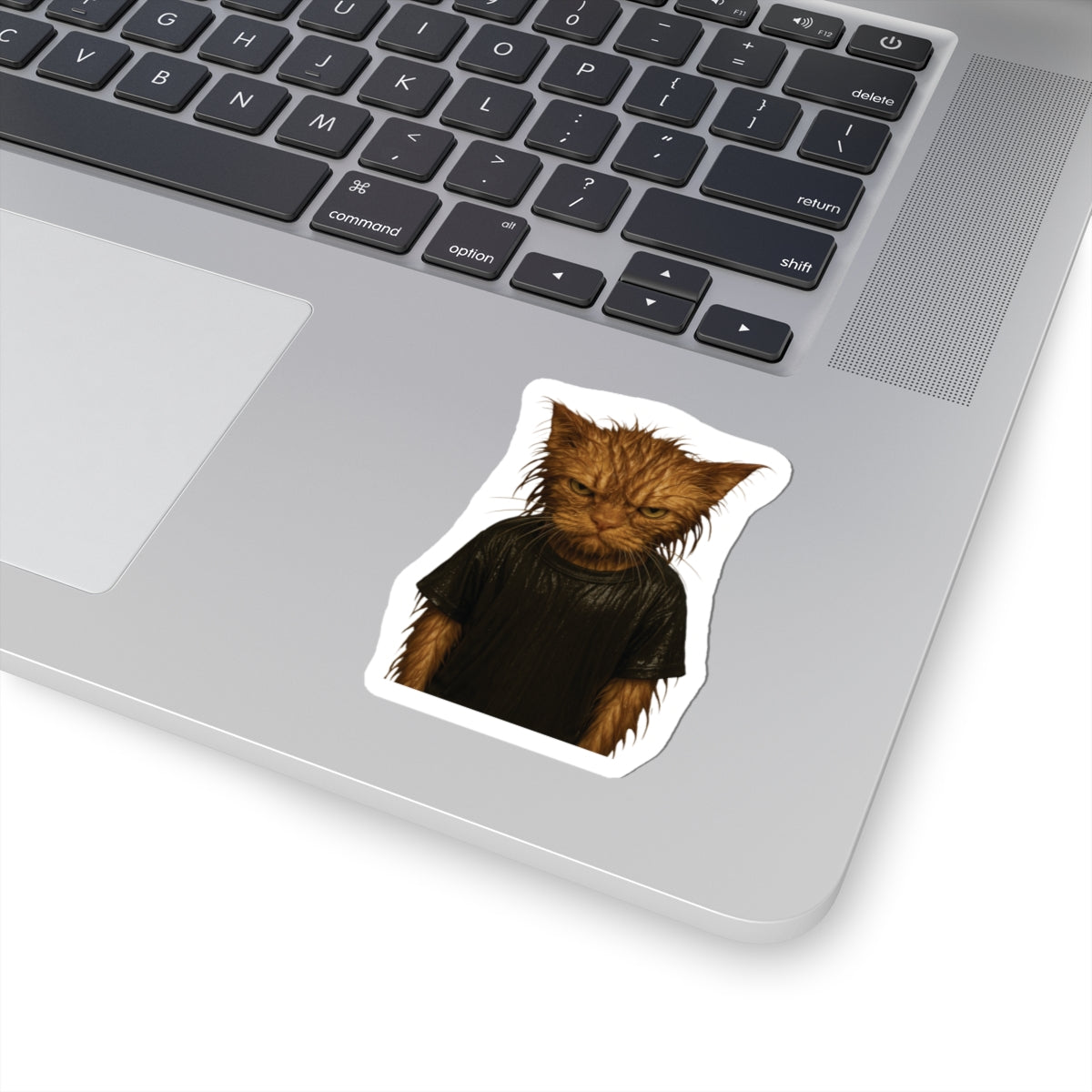 "Angry Wet Cat" Sticker [kevin_the_cat_store]