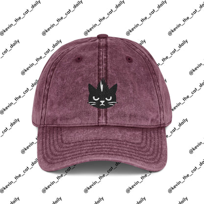 Kevin the cat HAT