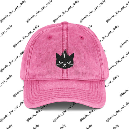 Kevin the cat HAT