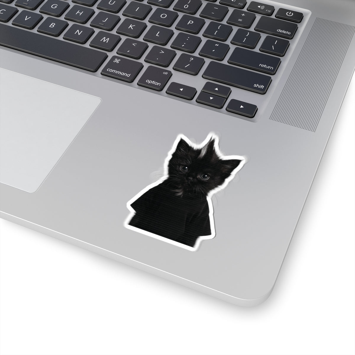 "Kevin" Sticker [kevin_the_cat_store]
