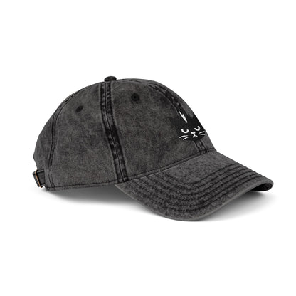 Kevin the cat HAT
