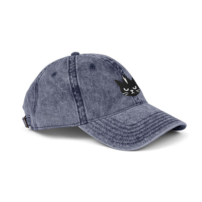 Kevin the cat HAT