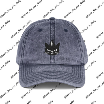 Kevin the cat HAT