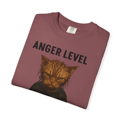 Anger level: Wet cat