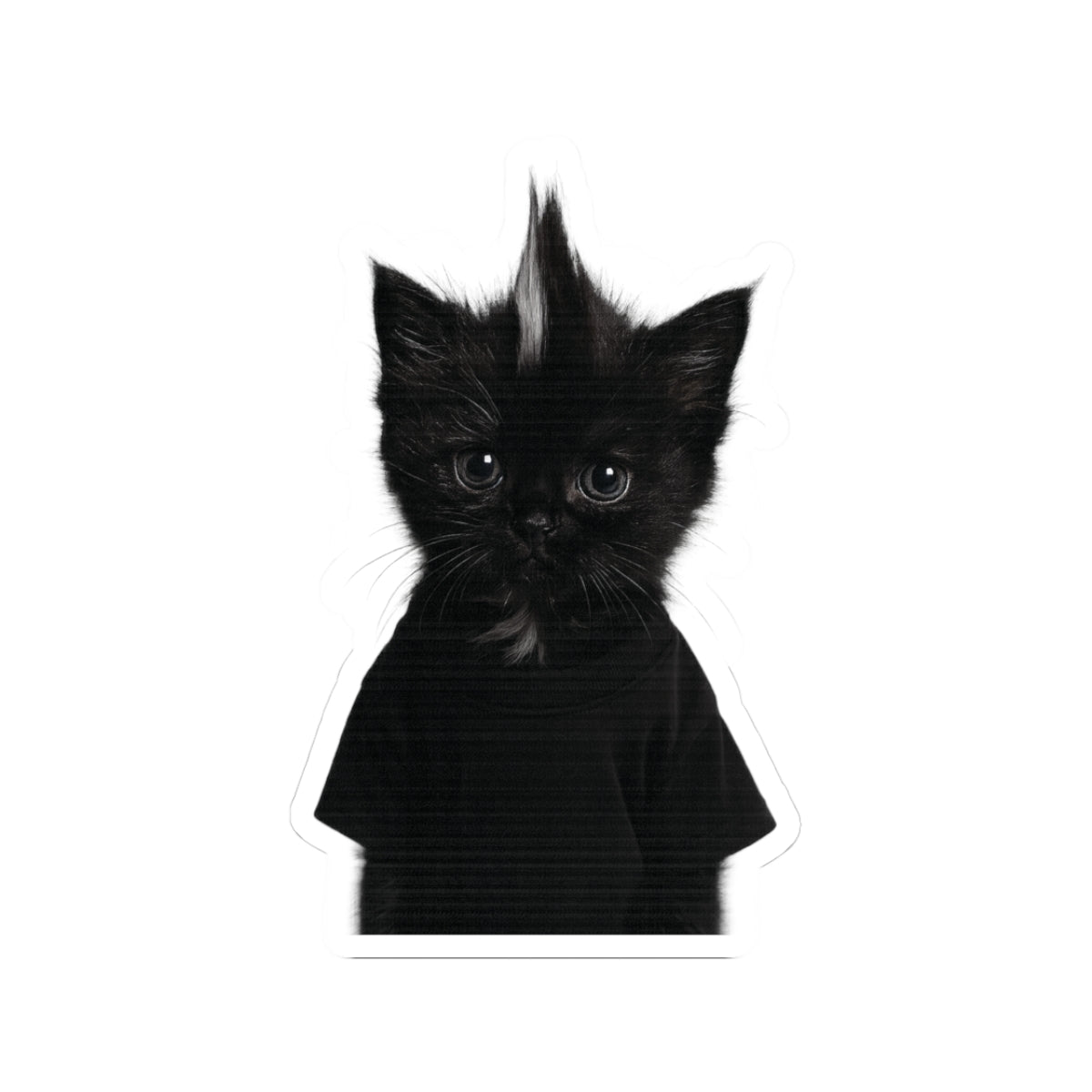 "Kevin" Sticker [kevin_the_cat_store]