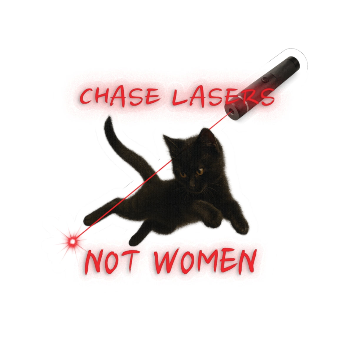 "CHASE LASERS NOT WOMEN" Sticker [kevin_the_cat_store]