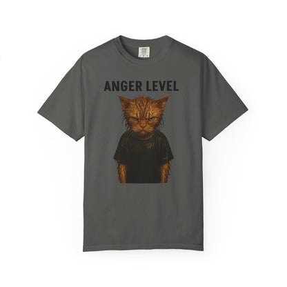 Anger level: Wet cat